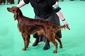 Crufts2011 224